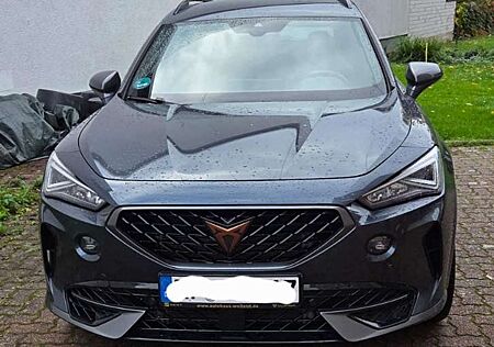 Cupra Formentor gebraucht kaufen Cupra Formentor VZ 2.0 TSI 4Drive DSG