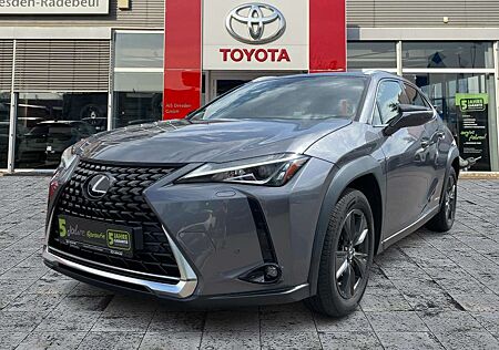 Lexus UX 250h Launch Edition Navi*KAM*DAB*SHZ