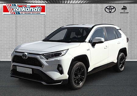 Toyota RAV 4 2.5 Plug-in Hybrid 4x4 SEGEBERG Kamera SHZ LHZ ACC