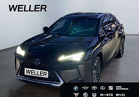 Lexus UX 250h Luxury Line *Matrix*360°*GSD*el Sitze*PDC*