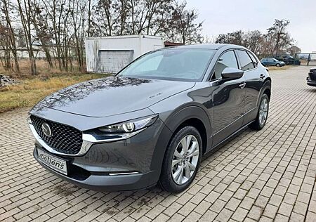 Mazda MX-30 e-SKYACTIV R-EV HUD Navi Memory Sitze Soun