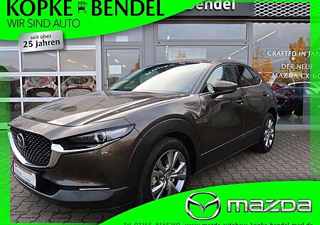 Mazda CX-30 *Zustand entspricht Laufleistung*viele Extras* Sel