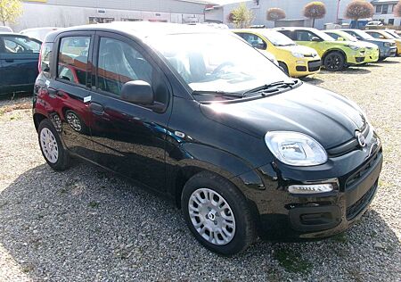 Fiat Panda Pandina ICON Schwarz