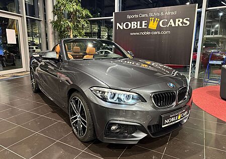 BMW 230 i Cabrio M Sport H&K LED NAV-PROF AHK 18"