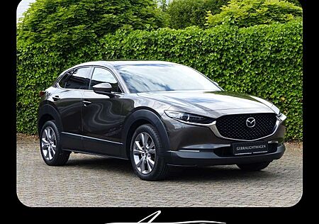 Mazda CX-30 SKYACTIV-G 122PS Automatik SELECTION+ Design-P. +