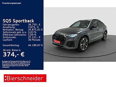 Audi SQ5 TDI AHK MATRIX CAM 21