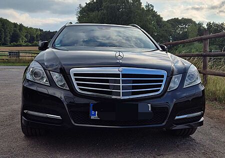 Mercedes-Benz E 300 gebraucht kaufen Mercedes-Benz E 300 T CDI DPF BlueEFFICIENCY 7GTRONIC Avantgarde