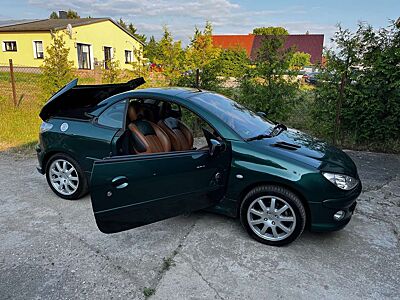 Peugeot 206 Limited Sammlerstück Leder Klima Allwetter