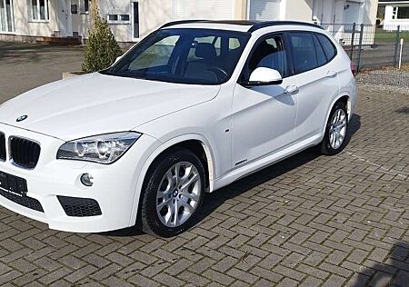 BMW X1 sDrive 18d Xenon Pano M