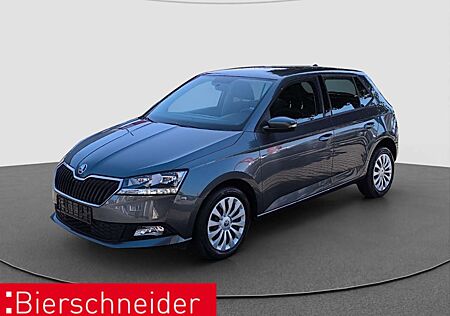 Skoda Fabia 1.0 TSI Ambition SHZ USB WINTERPAKET
