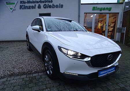 Mazda CX-30 Navi LED Kamera Head Up
