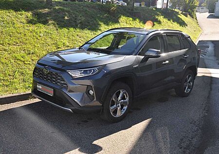 Toyota RAV 4 RAV4 Hybrid 2.5 4x4 Lounge