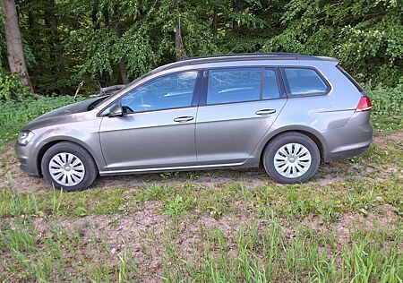 VW Golf Variant Volkswagen 1.6 TDI BlueMotion Trendline