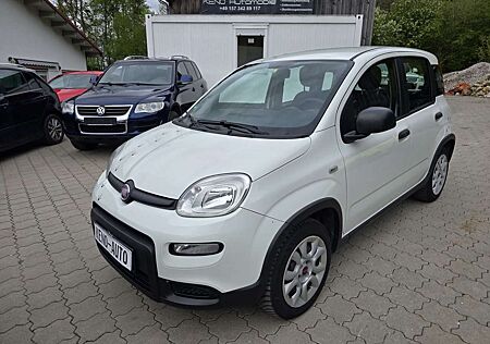 Fiat Panda 4x4