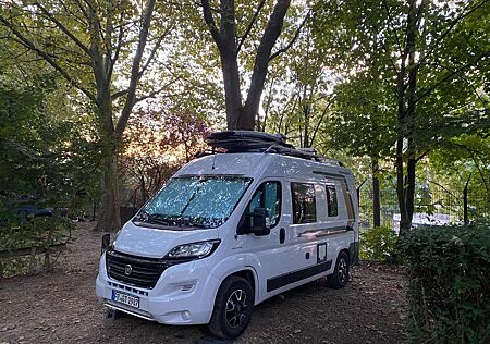 Fiat Ducato Weinsberg Carabus 540MQ