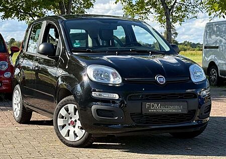 Fiat Panda 1.2*ZAHNRIEMEN&SERVICE NEU*KLIMA*1-HAND