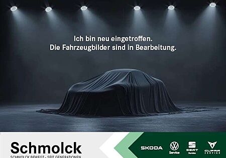 Skoda Fabia Ambition 1.0 TSI 110 PS LED SHZ DAB