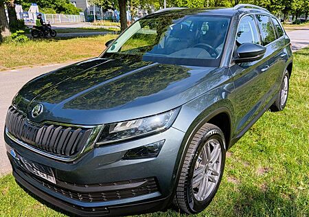 Skoda Kodiaq VOLL,4x4 Style TDI DSG, AHK, Standh., Panorama,..