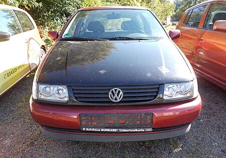 VW Polo Volkswagen 1,0 45 PS wenig Kilometer