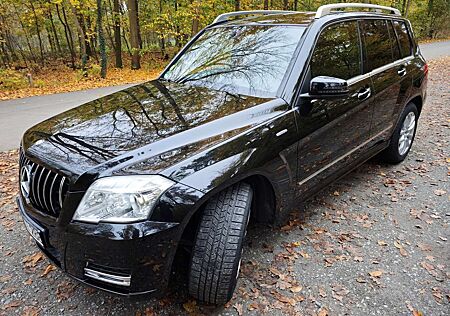 Mercedes-Benz GLK 220 CDI (BlueEFFICIENCY)