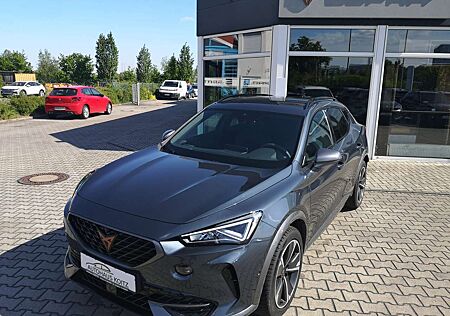 Cupra Formentor 1.5TSI DSG DCC Navi Topview Parklenk WirelessFull