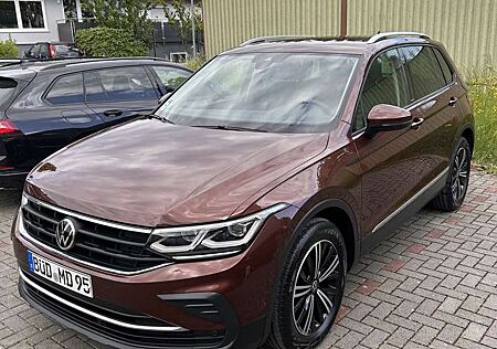 VW Tiguan Volkswagen 1.5 TSI DSG United Standheizung Matrix iQ Drive