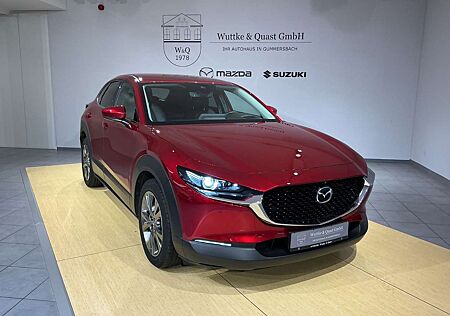 Mazda CX-30 Selection *AWD*BOSE*LED*Carplay*AHK*8Fach*
