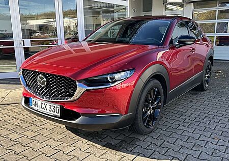 Mazda CX-30 2.5L e-SKYACTIV G 140 PS Homura