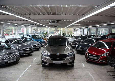 BMW X5 xDrive 40 e *Allrad*