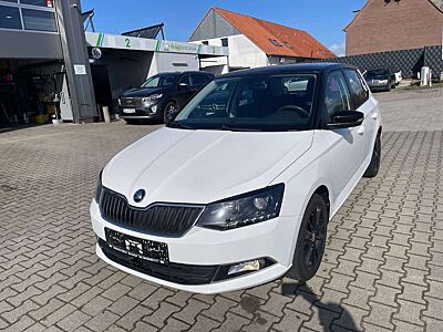 Skoda Fabia Style Scheckheft,Nichtraucher