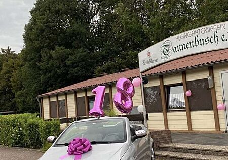 Opel Tigra Twin Top 1.4 Easytronic (Enjoy)