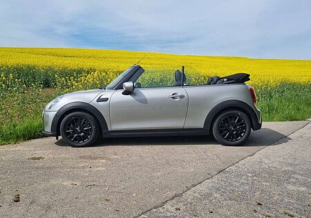 Mini Cooper Cabrio Leder, neuwertig, Service neu