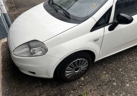 Fiat Punto EVO Punto 5-Türer 1.2 8V Pop