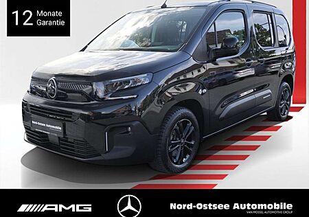 Citroën Grand C4 Picasso Citroen SPACETOURER Feel TEMPO PANO AHK