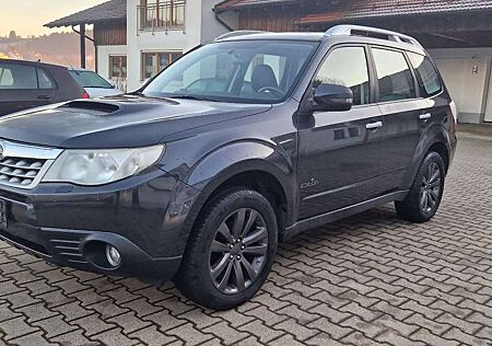 Subaru Forester Edition