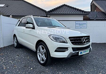 Mercedes-Benz ML 250 CDI BlueTec Navi ILS SHZ Kamera Tempo PDC