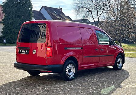 VW Caddy Volkswagen 2.0 TDI EURO 6d-TEMP KASTEN MAXI 1.HAND