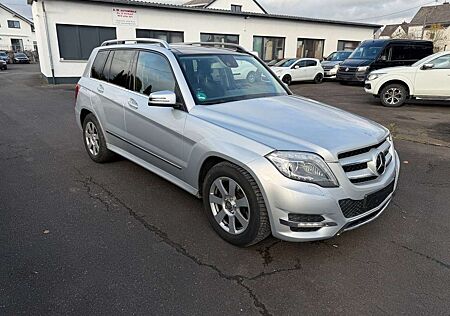 Mercedes-Benz GLK 250 CDI BlueTec 4Matic Panorama AHK