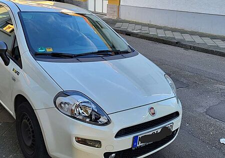 Fiat Punto EVO Punto