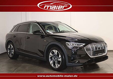 Audi e-tron 55 quattro-NAV-MATRIX-KAMERA-VIRT-LUFT-