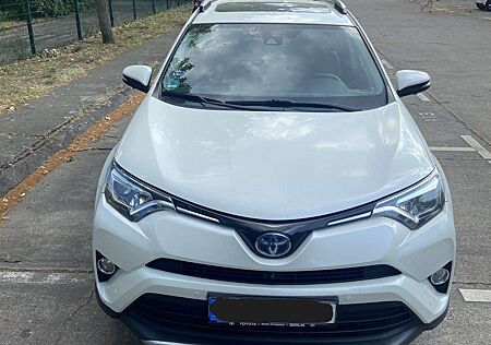 Toyota RAV 4 Panoramadach/360Kamera/Leder/Reling/Bearlock