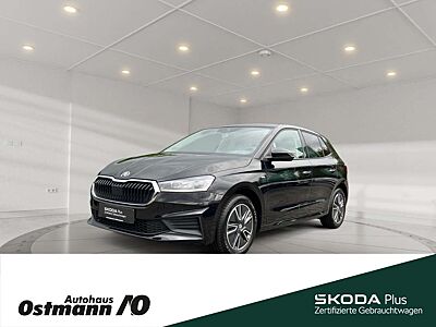 Skoda Fabia Tour 81kw TSI DSG *Frontscheibe beheizt*SHZ*