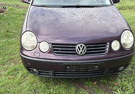 VW Polo Volkswagen 1.2