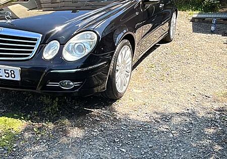 Mercedes-Benz E 320 gebraucht kaufen Mercedes-Benz E 320 4Matic (211.082) Nappa Leder Avantgarde