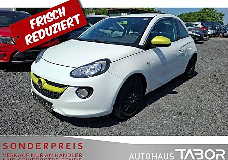 Opel Adam 1.4 Jam Winter-Paket Klima GRA HU 09/2026