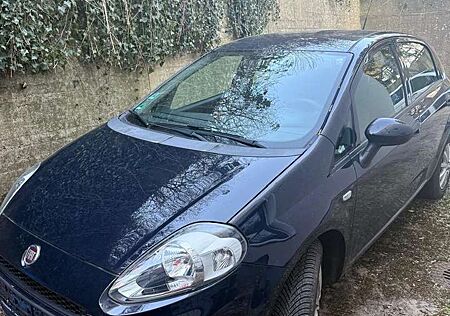 Fiat Punto 1.2 16V HLX