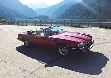 Jaguar XJS V12 Liebhaber Auto, niedrig km, super gepflegt