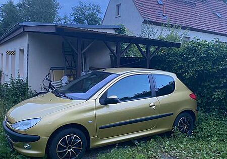 Peugeot 206 60 Filou