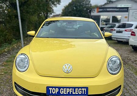 VW New Beetle Volkswagen . Design NAVI , Tempomat neu Steuerket