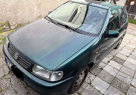 VW Polo Volkswagen 6N (60 Servo) - Automatik!